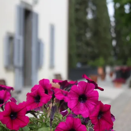 Hotel Montarioso