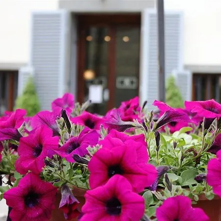 Montarioso Сиена